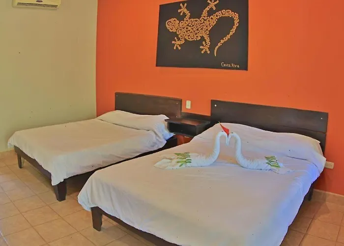 Hotel Pitaya